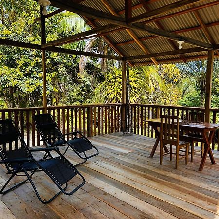 Ponta Poranga Jungle Lodge Manaus Eksteriør bilde