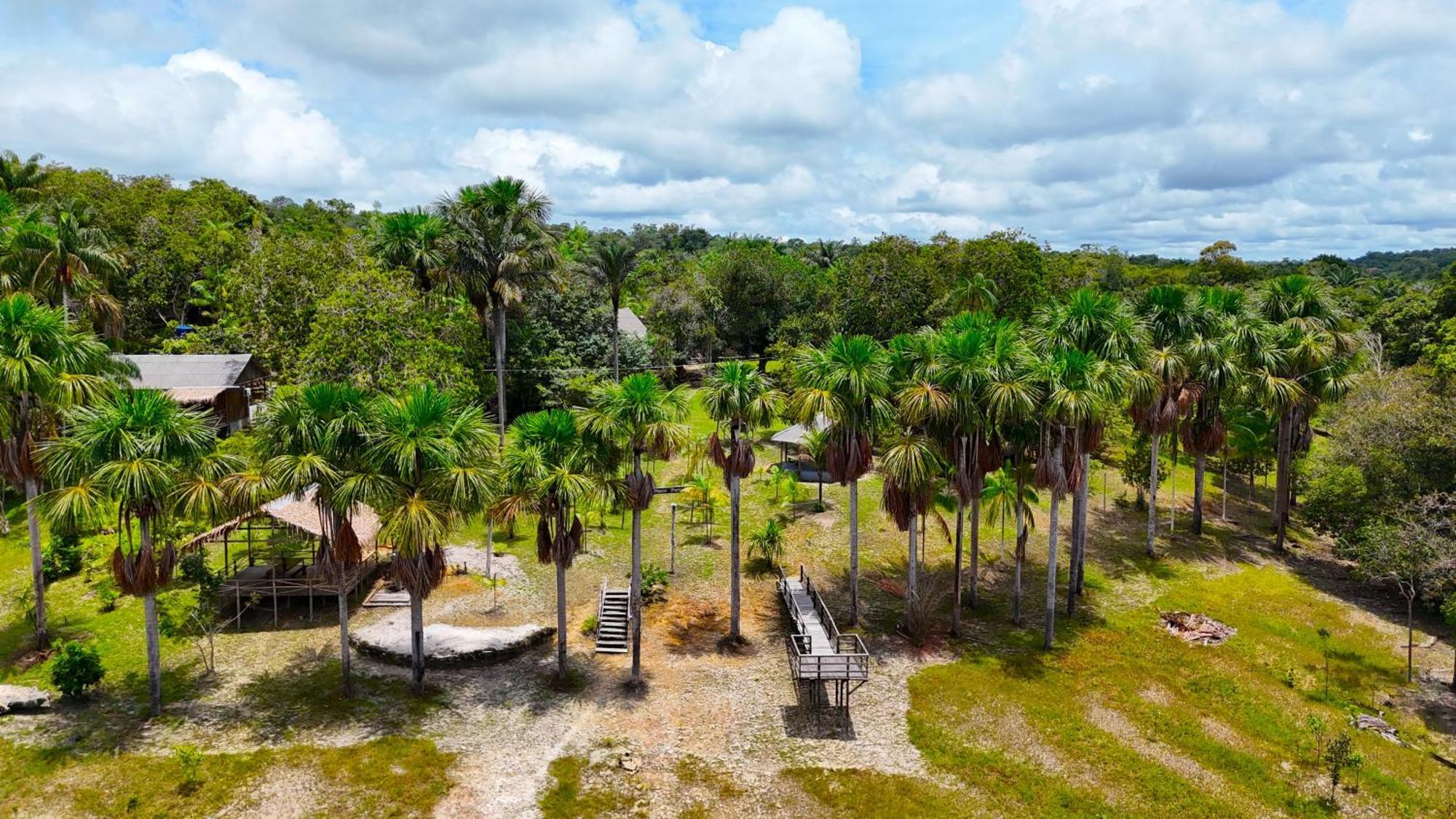 Ponta Poranga Jungle Lodge Manaus Eksteriør bilde