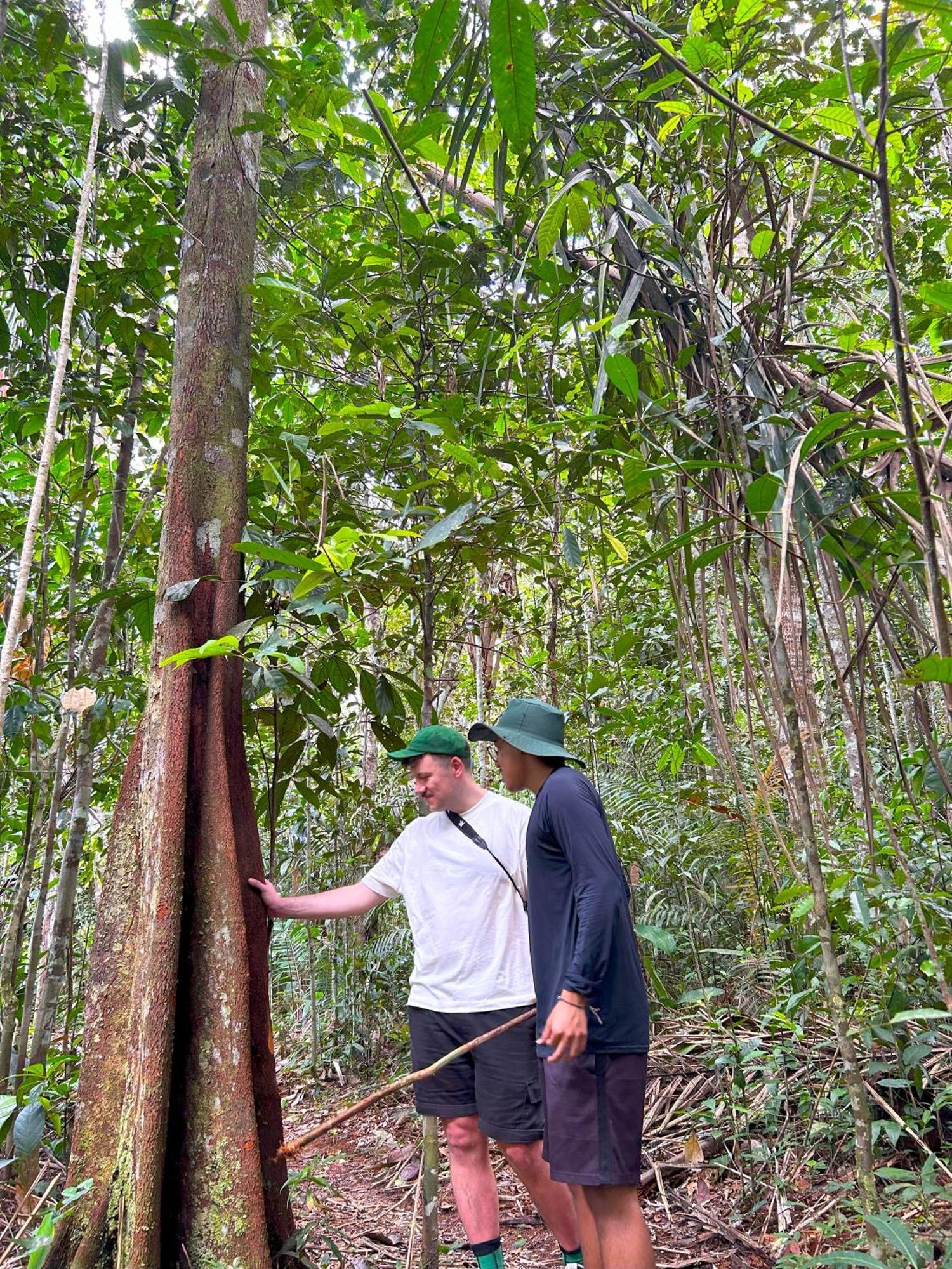 Ponta Poranga Jungle Lodge Manaus Eksteriør bilde