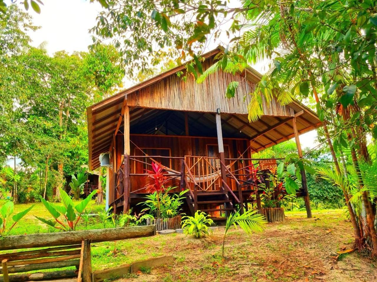 Ponta Poranga Jungle Lodge Manaus Eksteriør bilde